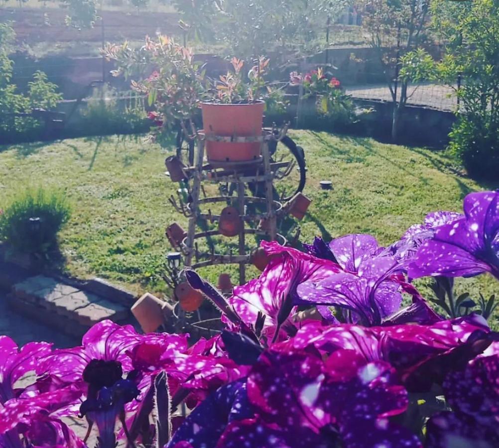 Anticacascina Bed & Breakfast Quarto  Екстериор снимка
